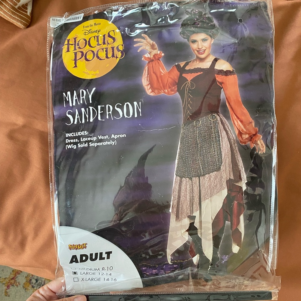 Mary Sanderson Costume